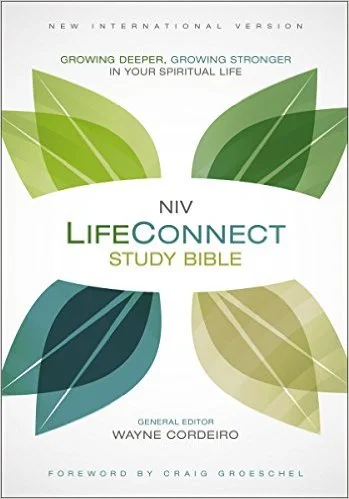 NIV LifeConnect Study Bible
